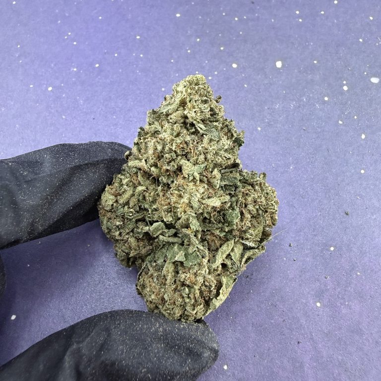 B09 Jet Fuel