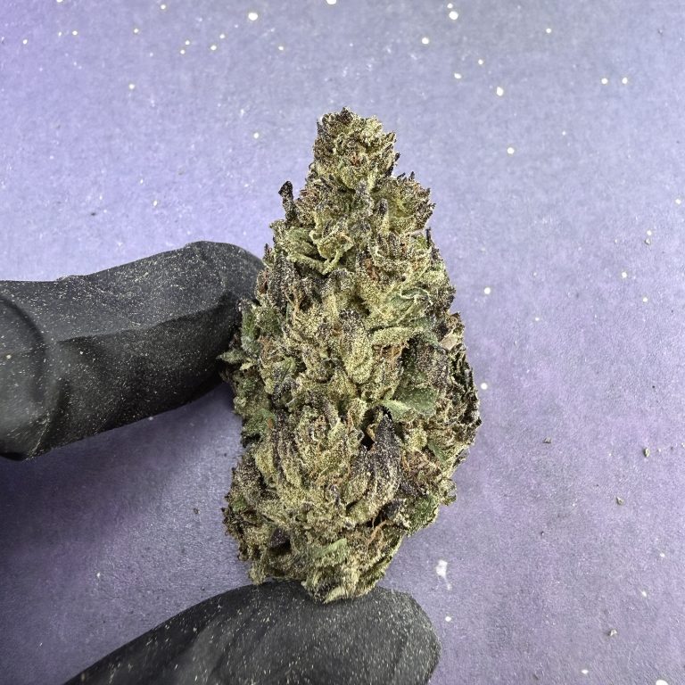 B07 Sherbcream Pie