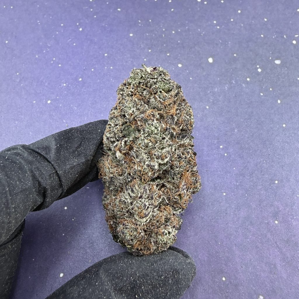 B69 Purple Cream