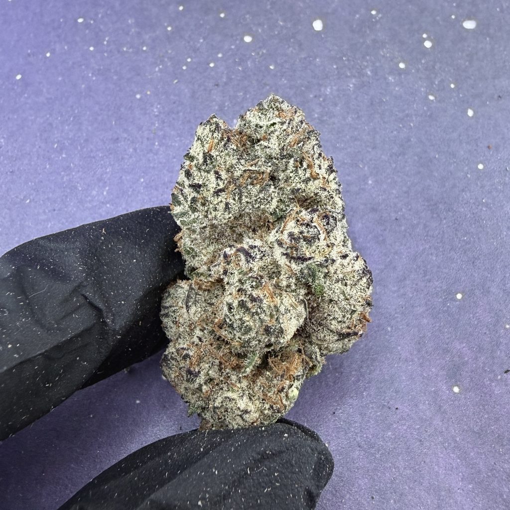B67 Monster Cookies